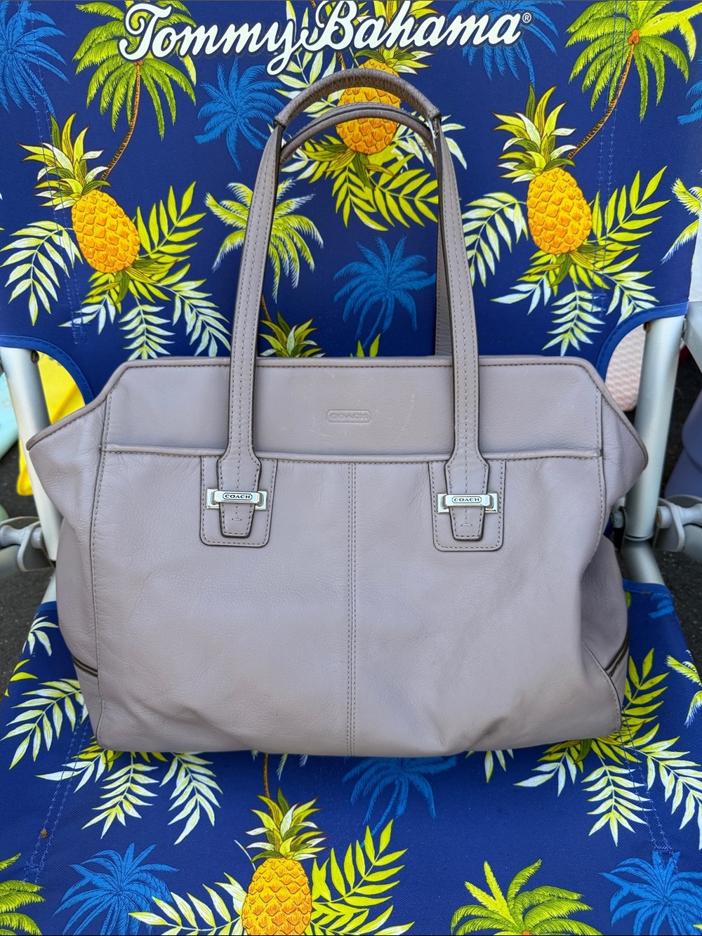 Coach Leather Tote Bag in Taupe